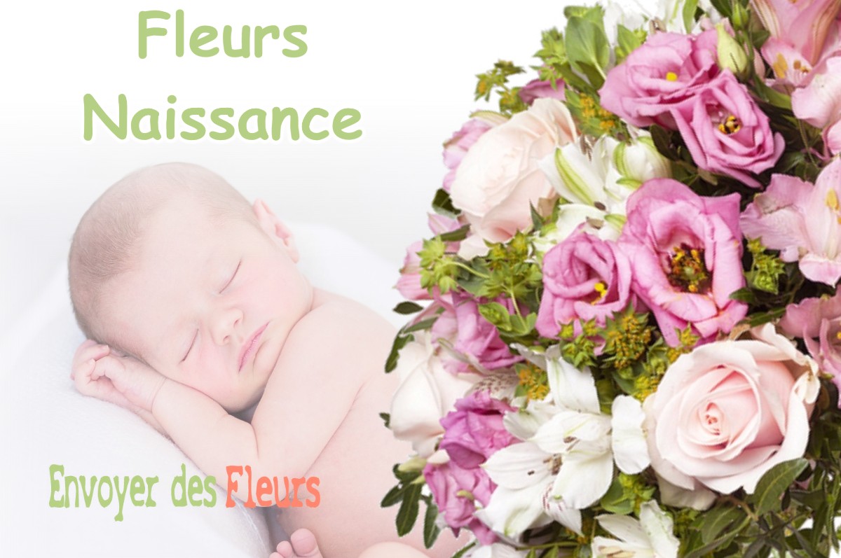 lIVRAISON FLEURS NAISSANCE à LA-TOUR-DU-PIN